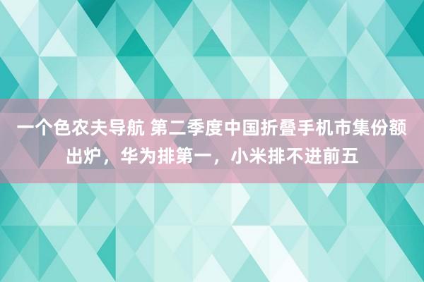 一个色农夫导航 第二季度中国折叠手机市集份额出炉，华为排第一，小米排不进前五