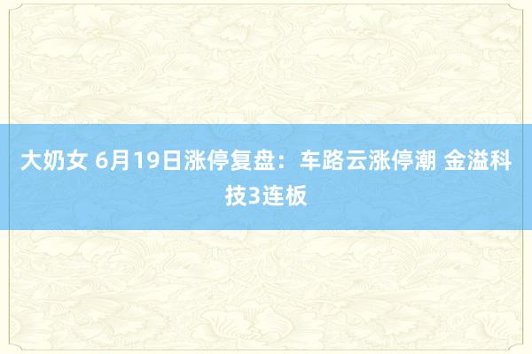 大奶女 6月19日涨停复盘：车路云涨停潮 金溢科技3连板