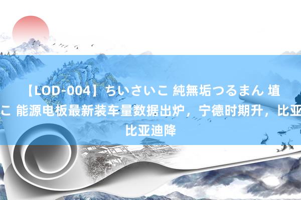 【LOD-004】ちいさいこ 純無垢つるまん 埴生みこ 能源电板最新装车量数据出炉，宁德时期升，比亚迪降