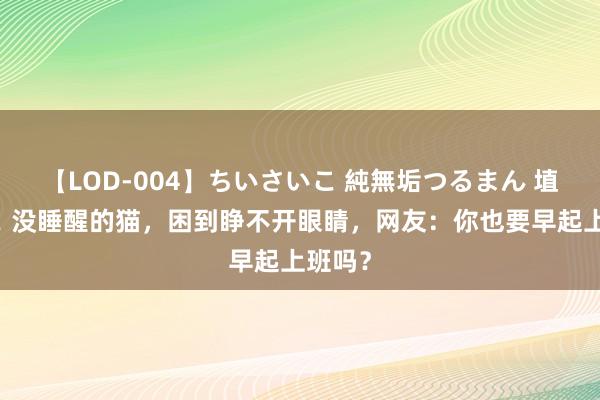 【LOD-004】ちいさいこ 純無垢つるまん 埴生みこ 没睡醒的猫，困到睁不开眼睛，网友：你也要早起上班吗？