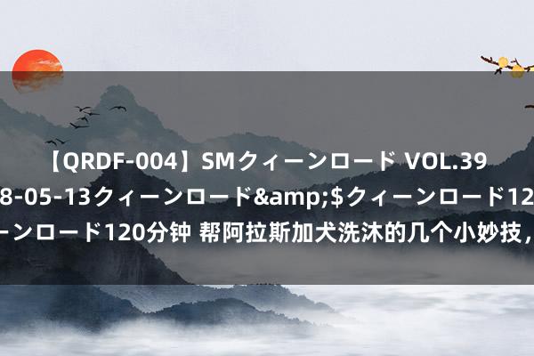 【QRDF-004】SMクィーンロード VOL.39 怜佳</a>2018-05-13クィーンロード&$クィーンロード120分钟 帮阿拉斯加犬洗沐的几个小妙技，有需要的了解一下