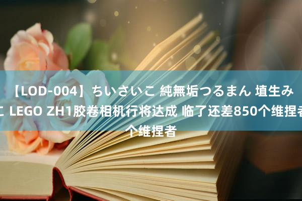 【LOD-004】ちいさいこ 純無垢つるまん 埴生みこ LEGO ZH1胶卷相机行将达成 临了还差850个维捏者