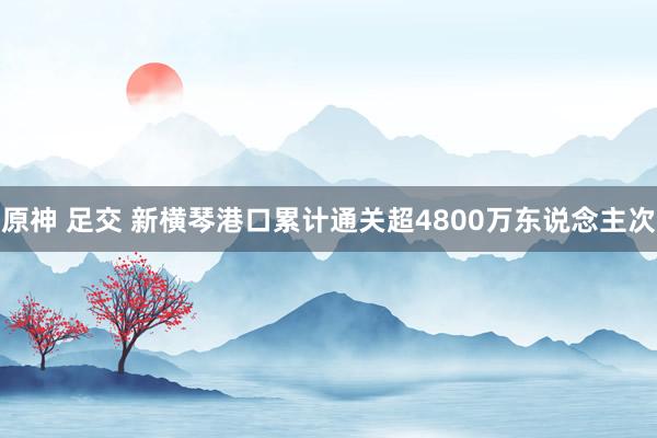 原神 足交 新横琴港口累计通关超4800万东说念主次