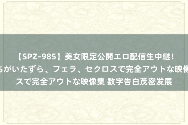 【SPZ-985】美女限定公開エロ配信生中継！素人娘、カップルたちがいたずら、フェラ、セクロスで完全アウトな映像集 数字告白茂密发展