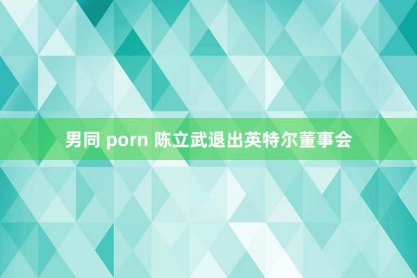 男同 porn 陈立武退出英特尔董事会