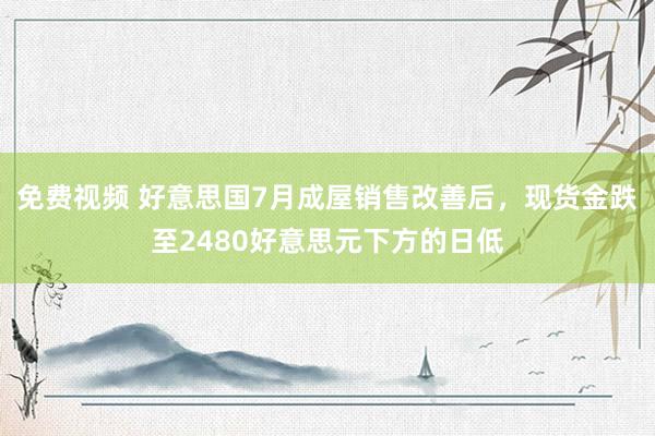 免费视频 好意思国7月成屋销售改善后，现货金跌至2480好意思元下方的日低