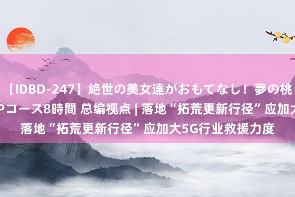 【IDBD-247】絶世の美女達がおもてなし！夢の桃源郷 IP風俗街 VIPコース8時間 总编视点 | 落地“拓荒更新行径”应加大5G行业救援力度