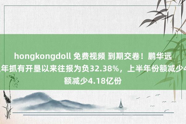 hongkongdoll 免费视频 到期交卷！鹏华远见汇报三年抓有开垦以来往报为负32.38%，上半年份额减少4.18亿份