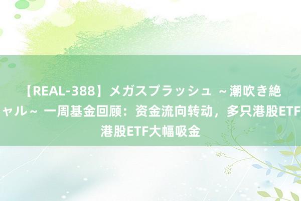 【REAL-388】メガスプラッシュ ～潮吹き絶頂スペシャル～ 一周基金回顾：资金流向转动，多只港股ETF大幅吸金