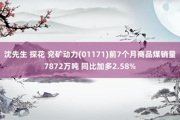 沈先生 探花 兖矿动力(01171)前7个月商品煤销量7872万吨 同比加多2.58%