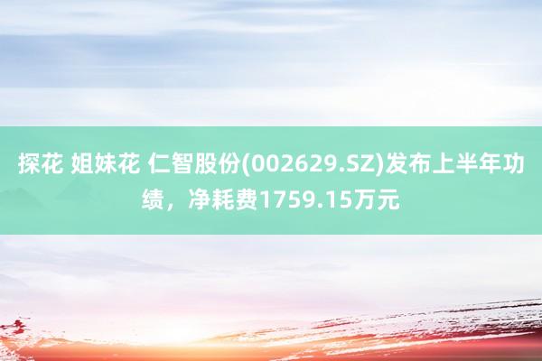 探花 姐妹花 仁智股份(002629.SZ)发布上半年功绩，净耗费1759.15万元