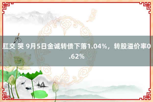 肛交 哭 9月5日金诚转债下落1.04%，转股溢价率0.62%