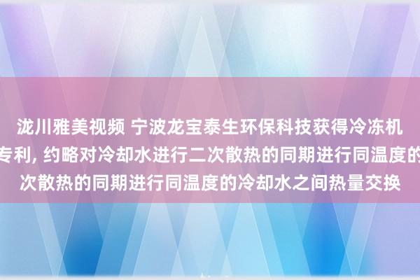 泷川雅美视频 宁波龙宝泰生环保科技获得冷冻机冷却水赞成散热安设专利, 约略对冷却水进行二次散热的同期进行同温度的冷却水之间热量交换